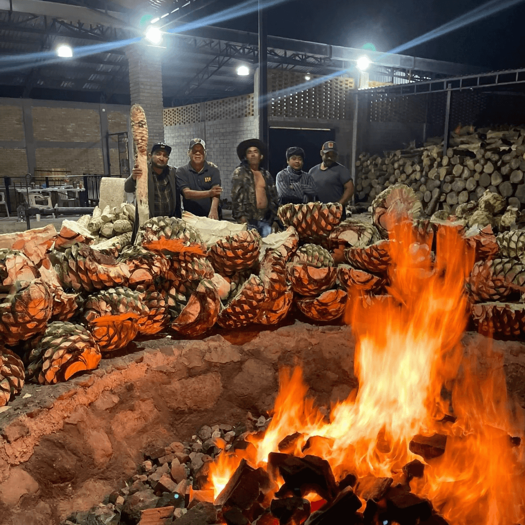 cocción del maguey para mezcal